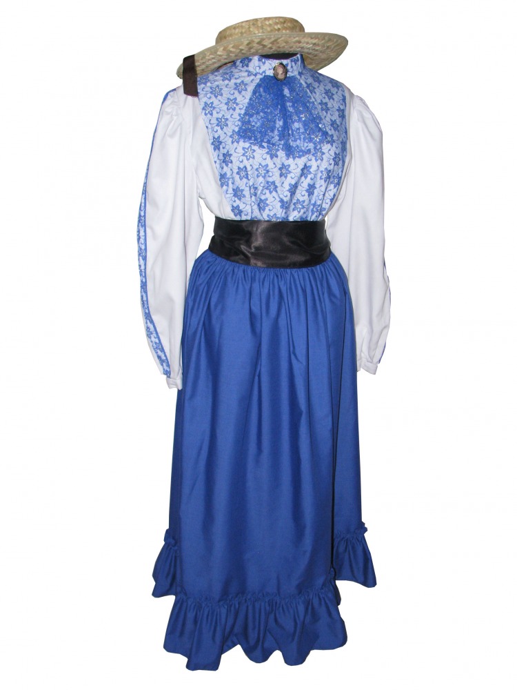 Ladies Victorian School Mistress Edwardian Suffragette style Costume Size 14 - 18 Image